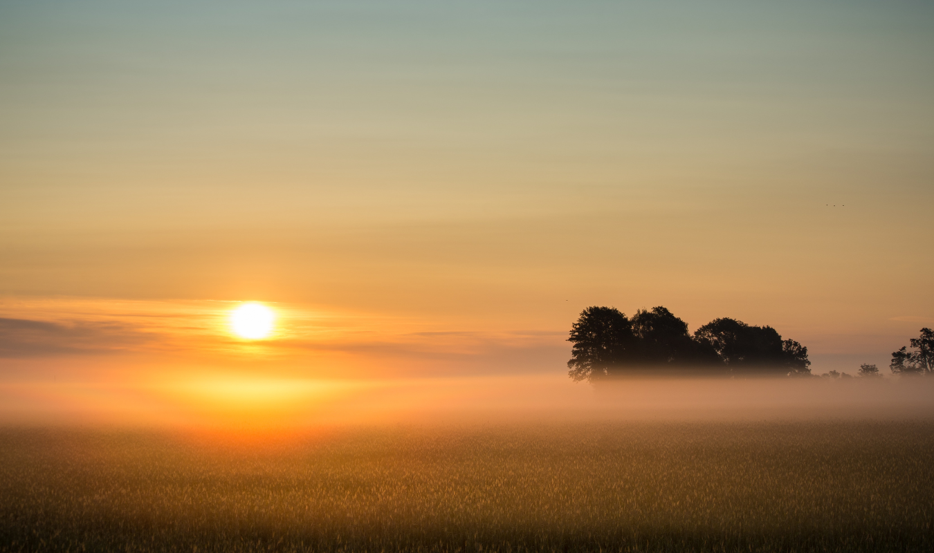 Koan Float header Floaten2